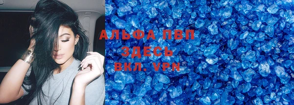 винт Дмитриев