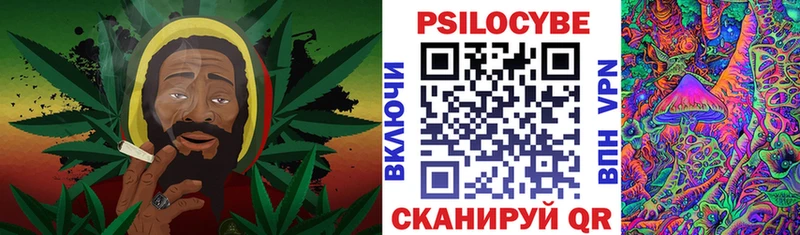 Галлюциногенные грибы Psilocybe  как найти   hydra как зайти  Пятигорск 